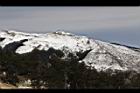 1050329合歡山421.JPG