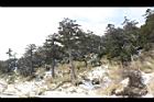 1050329合歡山435.JPG