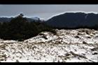 1050329合歡山455.JPG