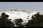 1050329合歡山470.JPG