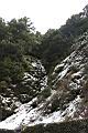 1050329合歡山539.JPG