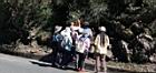 合歡山30.JPG