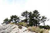 合歡山101121420.JPG