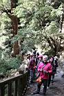大雪山110121802.JPG