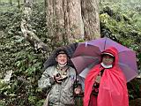 棲蘭山111032813.JPG