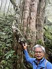 棲蘭山111032834.JPG
