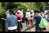 1110430橫山公園10.JPG