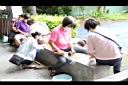 1110611豐東35.JPG