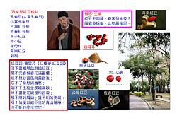 03常見紅豆植物.jpg