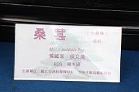 小葉桑-盆栽10.JPG