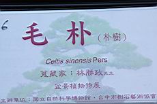 朴樹200.JPG