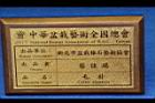 朴樹-盆栽02.JPG
