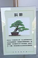 梅301.JPG