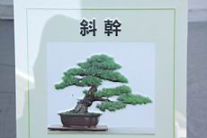 梅302.JPG