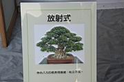 榕樹301.JPG