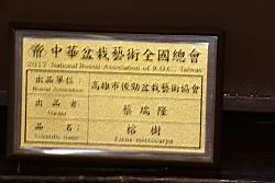榕樹-盆栽03.JPG