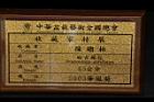 白木蘇花-盆栽24.JPG