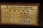 白木蘇花-盆栽29.JPG