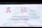 真柏900.JPG