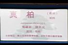 真柏-盆栽15.JPG