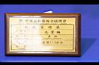 真柏-盆栽23.JPG