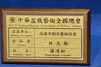 羅漢松-盆栽02.JPG
