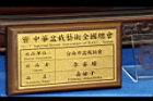 臭娘子-盆栽02.JPG