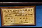 雀舌黃楊-盆栽13.JPG