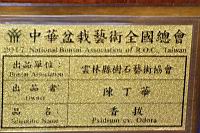 香菝-盆栽07.JPG