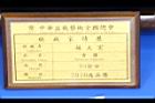 黃槿-盆栽13.JPG