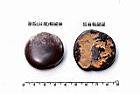 厚殼鴨腱藤-種子03.JPG
