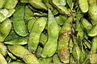大豆-豆莢.JPG