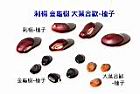 種子-刺金大00.jpg