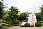 印度塔樹-花11.jpg