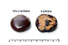 厚殼鴨腱藤-種子04.JPG