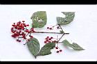 呂宋莢迷-紅實34.JPG