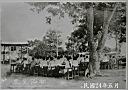 大葉合歡240.jpg