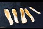 大葉桃花心木-種子05.JPG