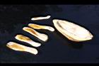 大葉桃花心木-種子13.JPG