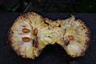 山刺番荔枝-果肉0.jpg