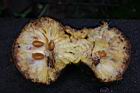 山刺番荔枝-果肉1.jpg