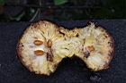 山刺番荔枝-果肉2.jpg