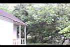 楊梅11.JPG