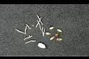 榼藤子-蕊-萼3.jpg