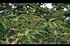 江某-實03.jpg