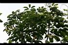 江某09.jpg
