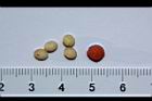 紅果金粟蘭-種子10.JPG