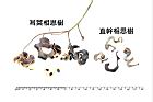 耳莢相思樹-實54.JPG
