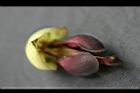 血藤-花07.jpg
